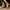 Damen Leder High Heels elegant zeitlos Komfort – Bellavie