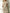 Stilvolles Kleid mit Bauchbedeckung – Kirsten