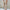 Damen Hose Elastischer Bund Bequem Stilvoll – Monika