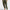 Damen Weite Hose Animal Print Elegant Look – Zoralia