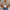Stylische Jeansjacke mit Nieten – Alexia