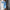 Elegantes Damenkleid – Zeitlos & Festlich – Helena