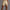 Herren-Trainingsshorts mit Super-Stretch & schmaler Passform – Azriel