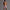 Herren-Trainingsshorts mit Super-Stretch & schmaler Passform – Azriel