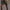 Herren-Trainingsshorts mit Super-Stretch & schmaler Passform – Azriel