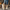 Warme Winterstiefel Damen wasserdicht und bequem – Christa