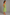 Stretch Kleid Damen mit buntem Print – Alina