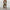 Edles Damen-Set mit Blazer & Kordelzughose – Celina
