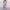 Edles Damen-Set mit Blazer & Kordelzughose – Celina