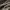 Taktische Herren Cargo Hose - Maverick