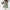 Damen Sommerbluse Leicht Elegant Atmungsaktiv – Elvanya