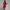 Elegantes Midi-Kleid mit V-Ausschnitt & Schlitz – Luciana