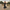Midi Kleid Raffung Elegant Figurbetont Komfort – Lina