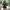 Schwarzes Chiffon Minikleid mit Drapierung – Alenya