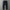 Taktische Herren Cargo Hose - Maverick