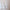 Spitzenbluse Damen Vintage Elegant Zeitlos – Sophie