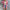 Moderne Damenweste für vielseitige Looks – Lara