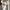 Damen-Set aus drei Teilen für elegante Looks – Valeria