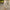 Eleganter 2-teiliger Damenanzug mit Blazer & Hose – Victoria