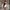 Elegantes Damenkleid mit verspielten Details – Lucia