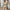 Damen-Strickjacke mit V-Ausschnitt – Lena