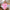 Pyjama Damen Komfortabel und Weich – Elena