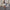 Elegantes Damenkleid mit verspielten Details – Lucia