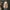 Wattierte Winterjacke mit Taillenzug – Clara