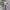 Moderne Damenweste für vielseitige Looks – Lara