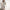 Schlafanzug Damen Bequem und Stilvoll – Emilia