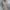 Moderne Damenweste für vielseitige Looks – Lara