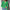 Pullover mit Kragen für Damen – Julia