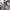 Hochtaillierte Hose mit perfekter Passform für Damen – Emilia