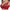 Push-up BH Spitze Großgröße Sexy & Bequem – Lena