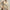Damen-Strickjacke mit V-Ausschnitt – Lena