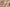 Wattierte Winterjacke mit Taillenzug – Clara
