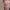 HelensDress Elegantes und vielseitiges Damenkleid – Emilia