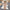 Elegantes Off-Shoulder-Kleid für Damen – Valentina