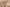 Wattierte Winterjacke mit Taillenzug – Clara