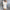 Moderne Damenweste für vielseitige Looks – Lara