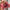Damen-Set aus drei Teilen für elegante Looks – Valeria