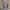 HelensDress Elegantes und vielseitiges Damenkleid – Emilia