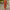 Eleganter 2-teiliger Damenanzug mit Blazer & Hose – Victoria