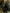 Damen Übergangsjacke Oversize Gepolstert Elegant – Beatricia