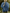 Damen Übergangsjacke Oversize Gepolstert Elegant – Beatricia