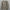 Herren-Shirt aus Baumwolle mit Vintage-Stil – Gotthard