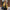 Modische Wildlederjacke für Damen – Emilia