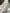 Herbsthose Damen mit hoher Taille und weitem Bein – Pia