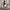 Elegantes Damenkleid mit verspielten Details – Lucia