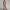 Modisches Loungewear-Set mit entspannter Passform für Damen – Alina